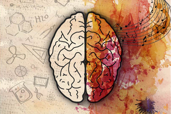 Cérebro representando os tipos psicológicos, as atitudes e funções