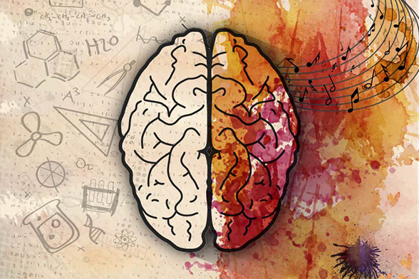 Cérebro representando os tipos psicológicos, as atitudes e funções